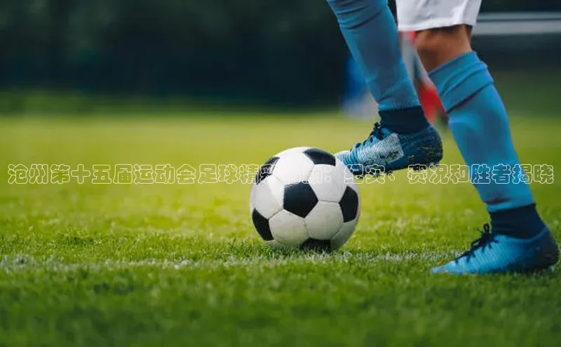 尊龙网站人生就是博百度智能门户