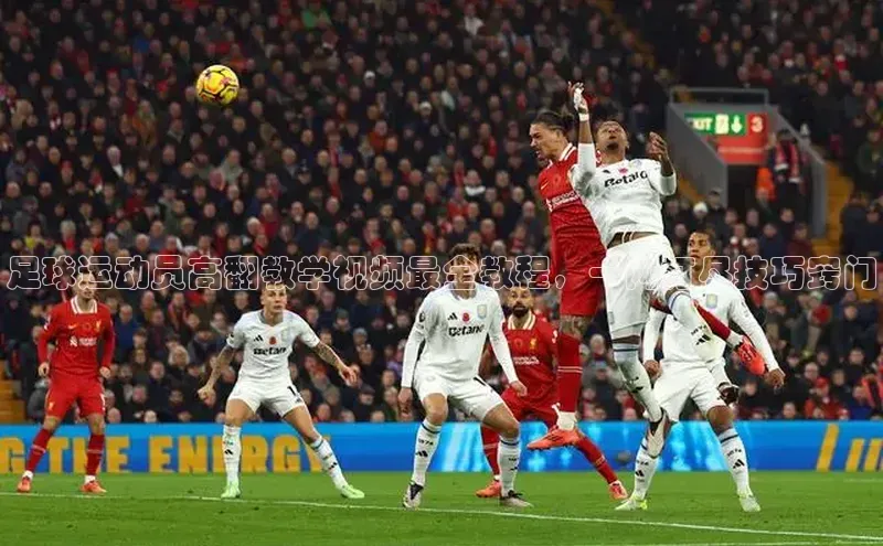 尊龙网站人生就是博美团