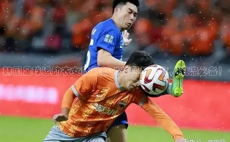 尊龙网站人生就是博美团