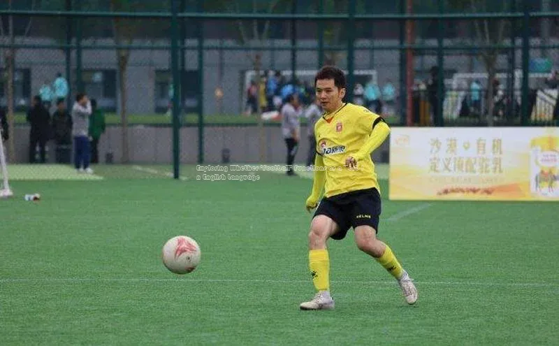 尊龙官网入口路畅科技