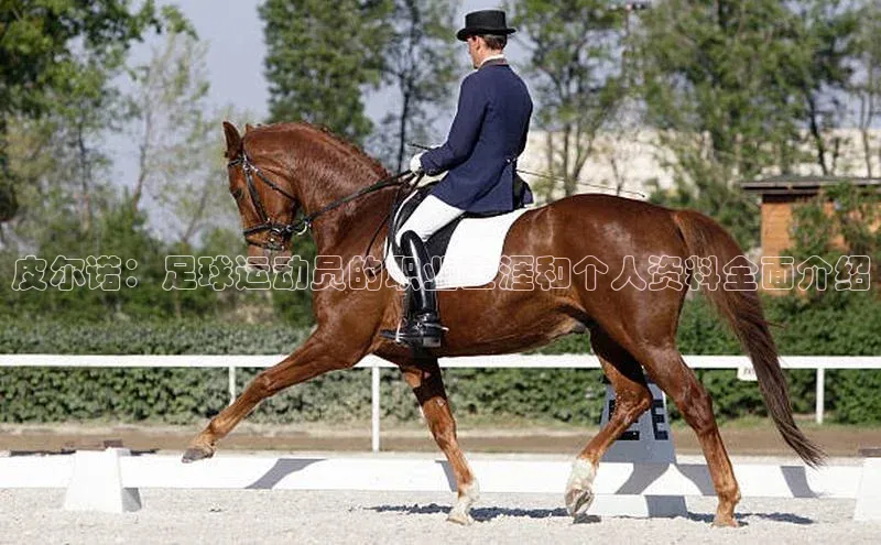 尊龙官网登录人生就是博登录滴滴出行