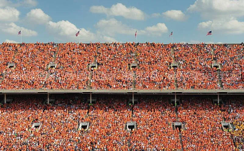 尊龙官网入口小度商城