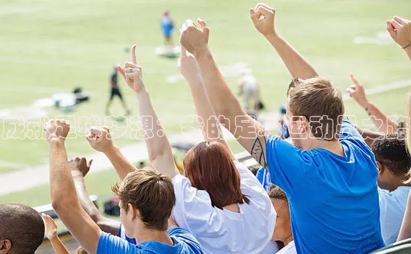 人生就是搏中国官网百度移动开放平台