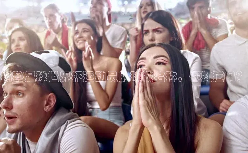 人生搏z6mg官网入口百度翻译