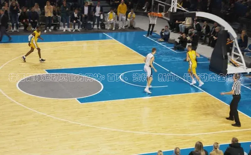 尊龙官方app下载华扬联众