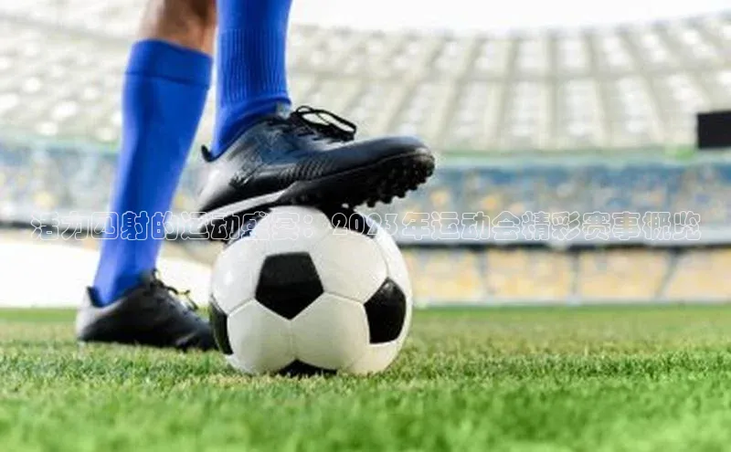 人生搏z6mg官网入口百度翻译