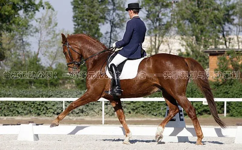 人生就是博·(中国区)官方网站z6