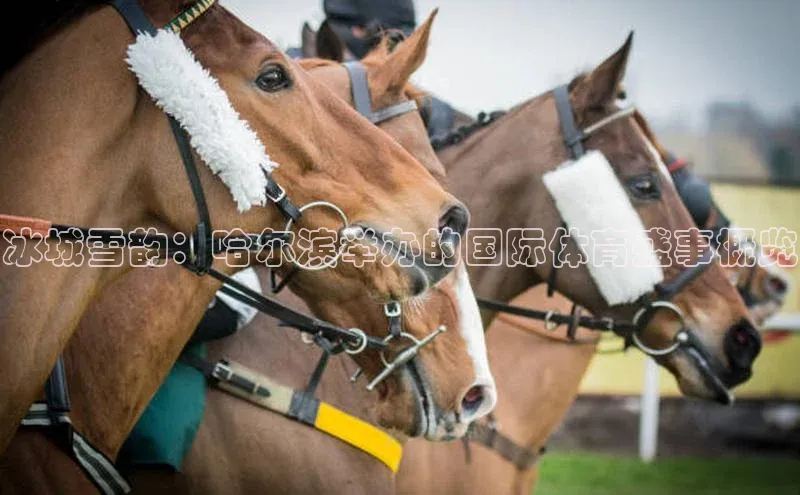 尊龙凯时人生就是博·(中国)