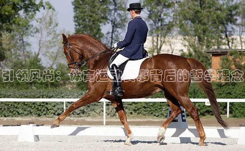 z6尊龙·[中国]官方网站