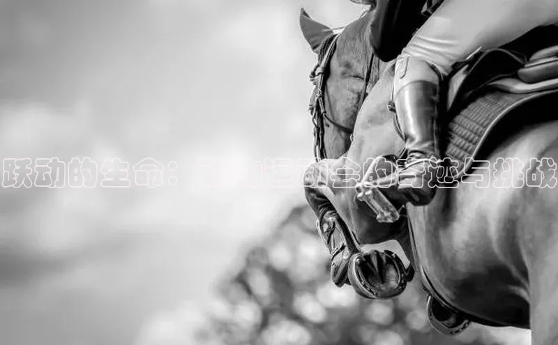 z6尊龙官方网站登录入口