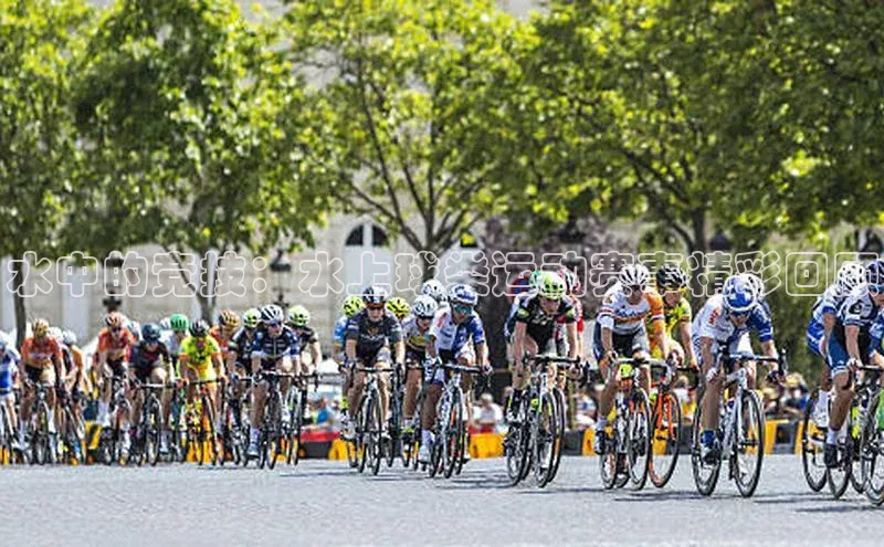 人生搏z6mg官网入口