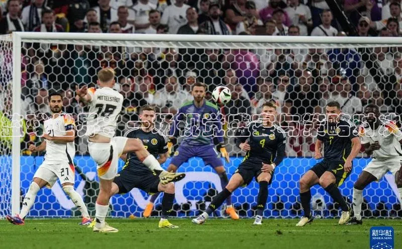 人生搏中国官网入口