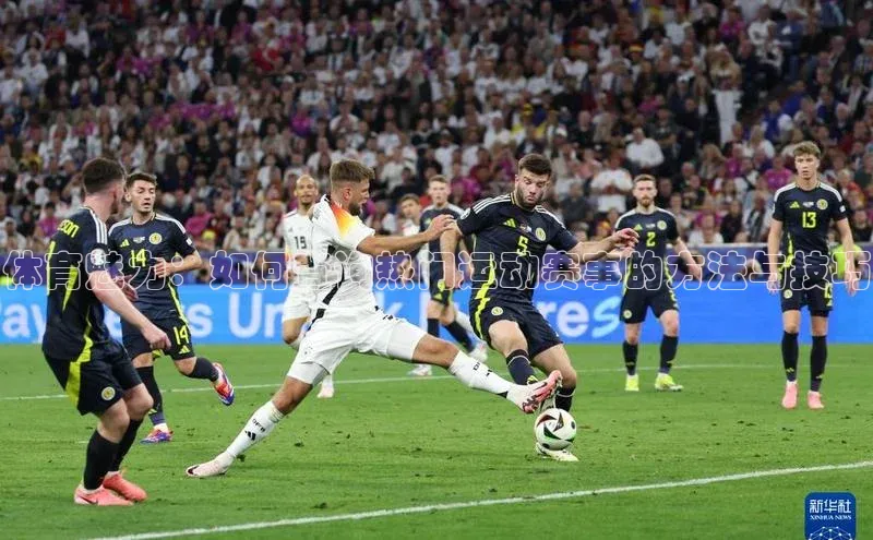 人生搏中国官网入口