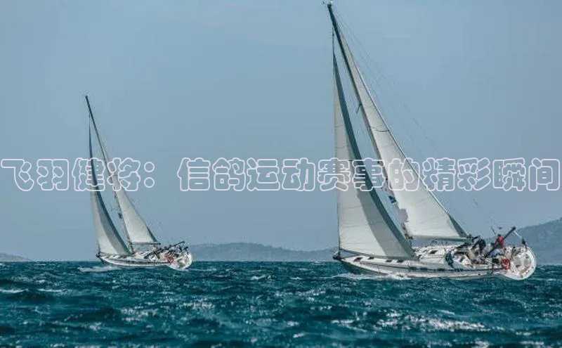 人生就是博(中国)登录入口